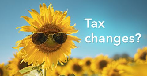 Summer tax changes