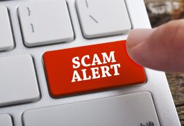 scam alert